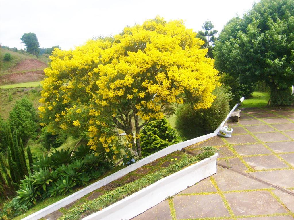 Casa Final De Semana E Temporada Descansopolis Casa de férias